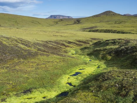 Lush vivid green moss in small stream. Volcanic landscape with green hills and colorful volcanos at Fjallabak Nature Reserve, Iceland. Summer blue sky.