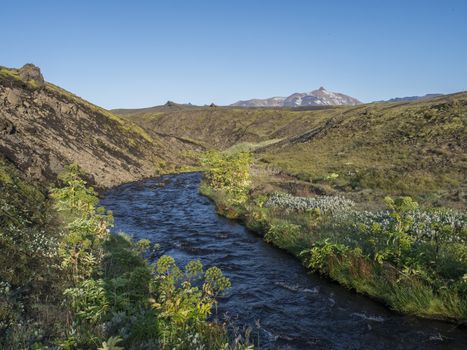 Icelandic landscape with blue river stream and lush green vegatation at Iceland on Laugavegur hiking trail, green valley in volcanic landscape among lava fields and mountains. Early morning, summer blue sky.