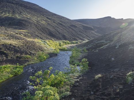 Icelandic landscape with blue river stream and lush green vegatation at Iceland on Laugavegur hiking trail, green valley in volcanic landscape among lava fields and mountains. Early morning, summer blue sky.