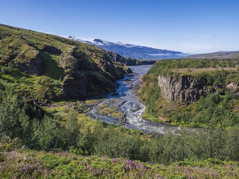 Icelandic landscape with blue Markarfljot river canyon, pink flowers, birch bush,green hills and eyjafjallajokull volcano glacier. Laugavegur hiking trail. Fjallabak Nature Reserve, Iceland. Summer blue sky.