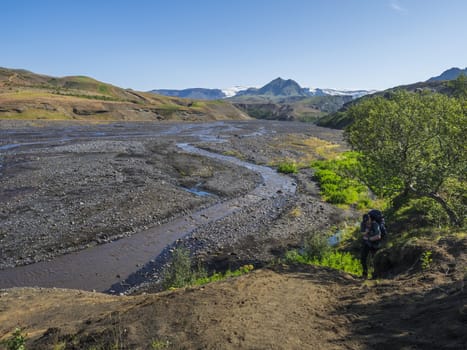 Icelandic landscape with blue Markarfljot river canyon, pink flowers, birch bush,green hills and eyjafjallajokull volcano glacier. Laugavegur hiking trail. Fjallabak Nature Reserve, Iceland. Summer blue sky.