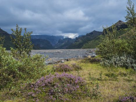 Icelandic landscape of Godland with Krossa river canyon, green sharp hills, blooming pink heather flower and Myrdalsjokull glacier tongue in fog. View from Basar camp site start of Fimmvorduhals trek