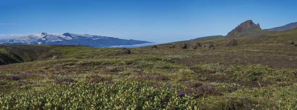 Panoramic landscape with view on Einhyrningur unicorn mountain, green hills, flowers and eyjafjallajokull volcano glacier. Laugavegur hiking trail. Fjallabak Nature Reserve, Iceland. Summer blue sky.