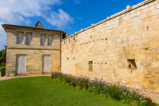 small garden at saint emilion, aquitaine, France