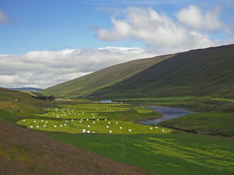 fertile river valley with  lush grass, straw bale and farm and blue sky