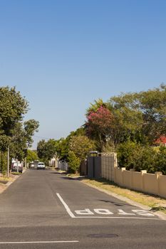 Street in the town of Claremont, Cape Town, South Africa. Sunny weather and blue sky.