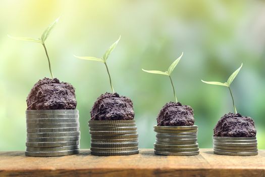 Money growing concept trees growing on pile of coins money interest increasing concept