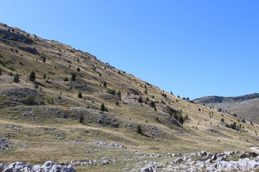 Wavy, hilly, rocky landscape of the Bosnian mountain Bjelasnica. Bjelasnica Mountain, Bosnia and Herzegovina.