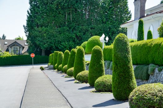 A perfect neighbourhood. Luxury residential house fenced with white balustrade built on land terrace decorated with topiary trees and bushes