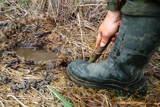A man in rubber boots digs a shovel pit in a swamp. Finding water.