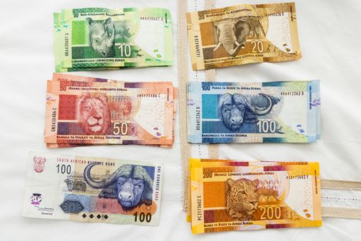 South African colorful banknotes money. Back with BIG Five animals