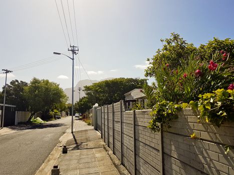 Street in the town of Claremont, Cape Town, South Africa. Sunny weather in the summer