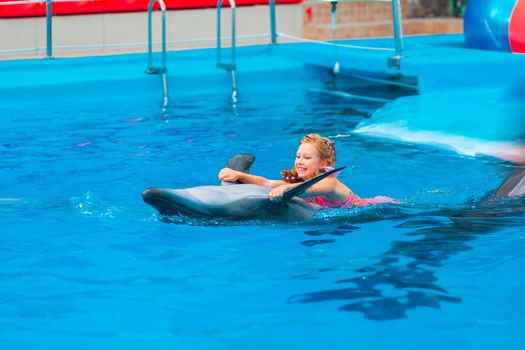 Happy little girl swimming with dolphins in Dolphinarium. Swimming, bathing and communication with dolphins.