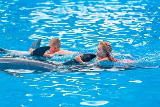 Happy little kids swimming with dolphins in Dolphinarium. Swimming, bathing and communication with dolphins.