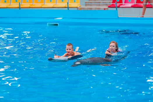 Happy little kids swimming with dolphins in Dolphinarium. Swimming, bathing and communication with dolphins.