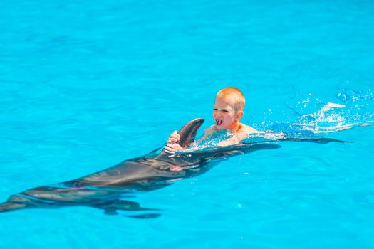 Happy little boy swimming with dolphins in Dolphinarium. Swimming, bathing and communication with dolphins.