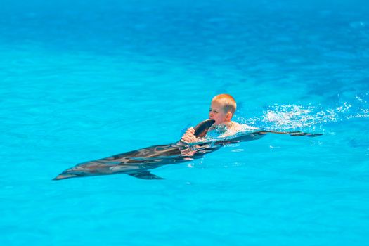 Happy little boy swimming with dolphins in Dolphinarium. Swimming, bathing and communication with dolphins.