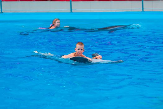 Happy little kids swimming with dolphins in Dolphinarium. Swimming, bathing and communication with dolphins.