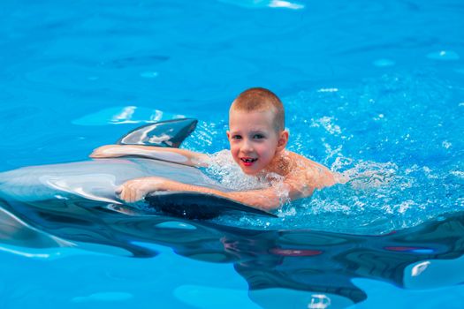 Happy little boy swimming with dolphins in Dolphinarium. Swimming, bathing and communication with dolphins.