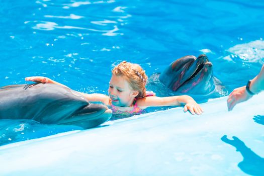 Happy little girl swimming with dolphins in Dolphinarium. Swimming, bathing and communication with dolphins.