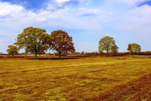 Beautiful panorama view on a golden autumn landscape in the middle of october