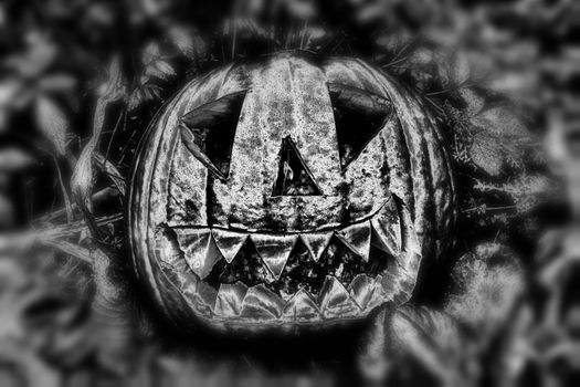 Illuminated monochrome spooky black and white Halloween pumpkin Jack O' Lantern