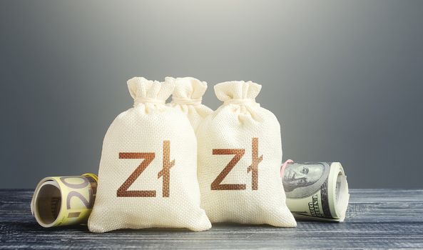 Polish zloty money bags and cash. Financial resources, grants, project financing. National gold and foreign exchange reserve. Economy monetary policy. Capital Investments. Trade development. Lending
