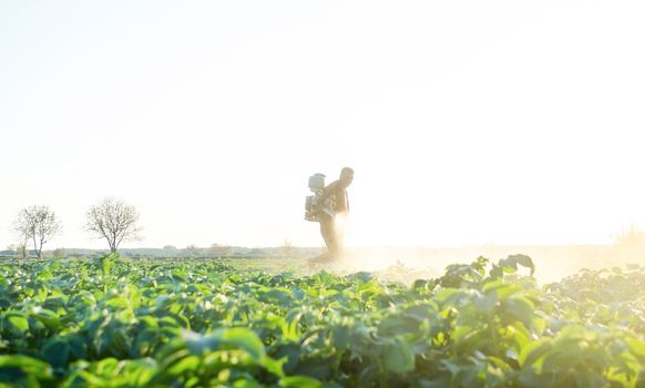 Farmer spraying plants with pesticides in the early morning. Protecting against insect and fungal infections. Agriculture and agribusiness, agricultural industry. The use of chemicals in agriculture.