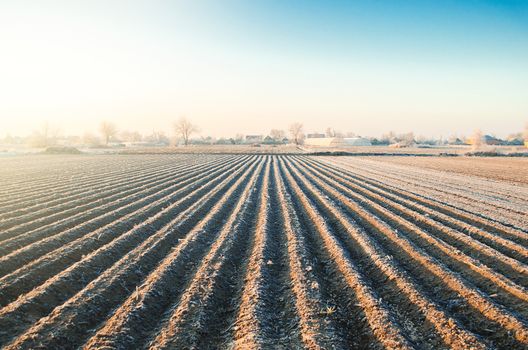 Winter farm field ready for new planting season. Agriculture and agribusiness. Preparatory agricultural work for spring. Choosing right time for sow fields plant seeds, protection from spring frosts.