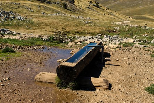 A hollowed-out log, there is water for cattle in the log. On the mountain Bjelasnica, Bosnia and Herzegovina.