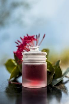 Close up of red colored pentas flower or Egyptian Star Flower or jasmine on wooden surface with its extracted essential oil in a transparent bottle.