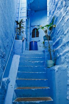 Blue houses in streets of of Jodhpur, also known as Blue City due to the vivid blue-painted Brahmin houses, Jodhpur, Rajasthan, India