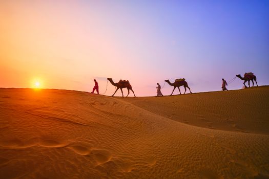 Indian cameleers (camel driver) bedouin with camel silhouettes in sand dunes of Thar desert on sunset. Caravan in Rajasthan travel tourism background safari adventure. Jaisalmer, Rajasthan, India