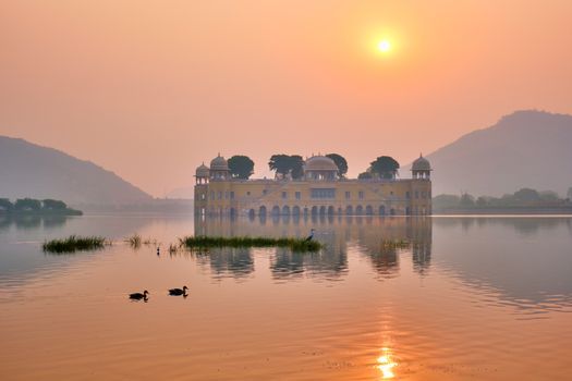 Tranquil morning at famous indian tourist landmark Jal Mahal (Water Palace) at sunrise in Jaipur. Ducks and birds around enjoy the serene morning. Jaipur, Rajasthan, India