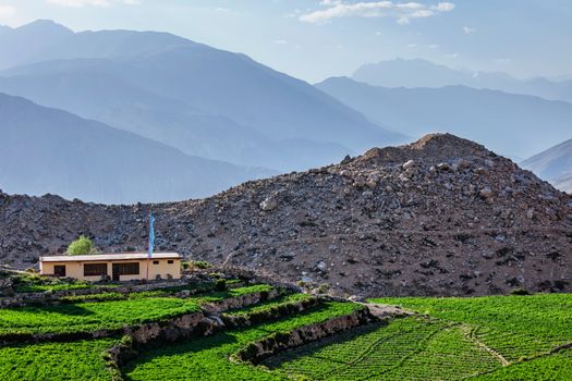 Nako village in Himalayas, Himachal Pradesh, India