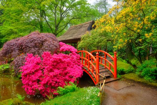 Small bridge in Japanese garden, Park Clingendael, The Hague, Netherlands