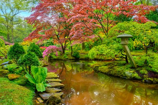 Little Japanese garden after rain, Park Clingendael, The Hague, Netherlands