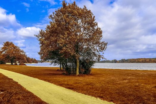 Beautiful panorama view on a golden autumn landscape in the middle of october