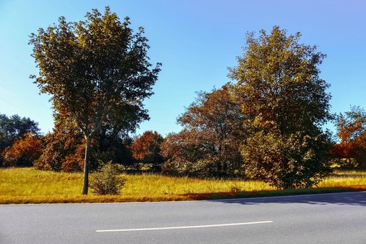 Beautiful panorama view on a golden autumn landscape in the middle of october