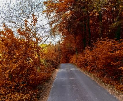 Beautiful panorama view on a golden autumn landscape in the middle of october