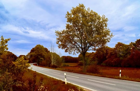 Beautiful panorama view on a golden autumn landscape in the middle of october