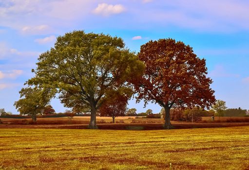 Beautiful panorama view on a golden autumn landscape in the middle of october