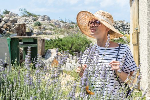 Beautiful blonde young female traveler wearing straw sun hat enjoying summer on Mediterranean cost strolling among lavender flowers on traditional costal village garden.