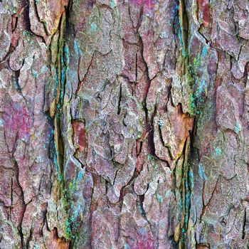 Photo realistic seamless texture pattern of tree bark in high resolution