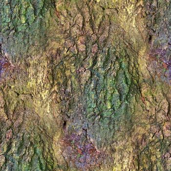 Photo realistic seamless texture pattern of tree bark in high resolution