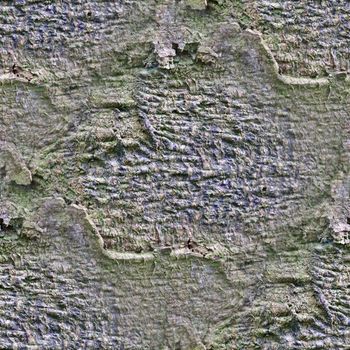 Photo realistic seamless texture pattern of tree bark in high resolution