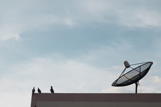 Antenna communication satellite dish with sky background and three bird