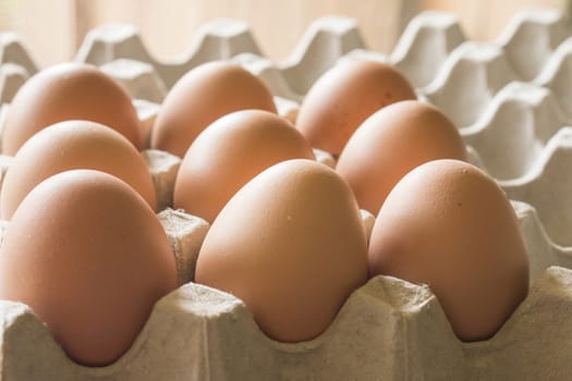 Close up chicken eggs in a tray on paper