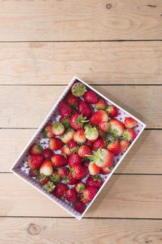 fresh strawberries in gift box on wooden board