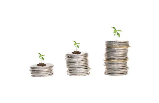  coins stacks with tree growing on top, saving and investment or business planing